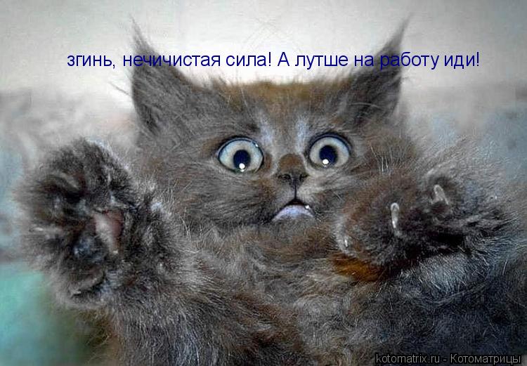 згинь, нечичистая сила! А лутше на работу иди!... Котоматрица: згинь, нечичистая сила! А лутше на работу иди!