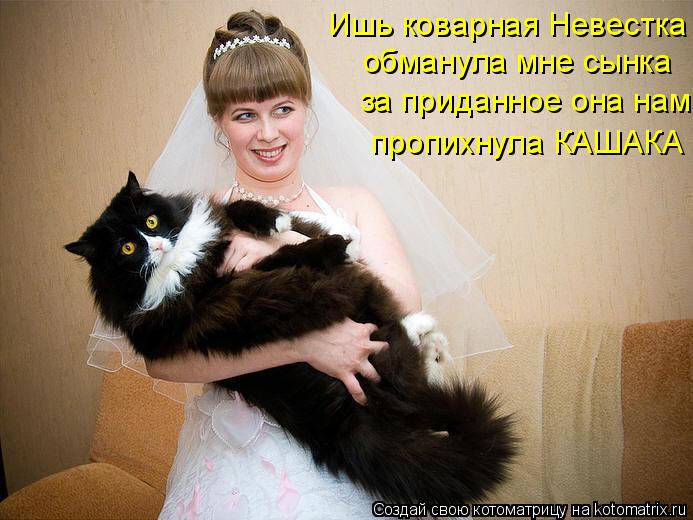 Ишь коварная Невестка обманула мне сынка за приданное она нам пропихнула КАШАКА... Котоматрица: Ишь коварная Невестка обманула мне сынка за приданное она нам пропихнула КАШАКА