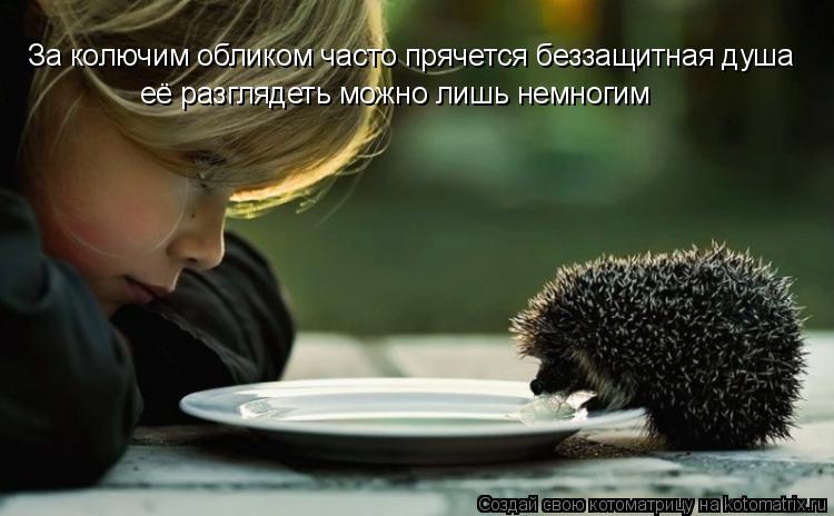 За колючим обликом часто прячется беззащитная душа её разглядеть можно лишь немногим... Котоматрица: За колючим обликом часто прячется беззащитная душа её разглядеть можно лишь немногим