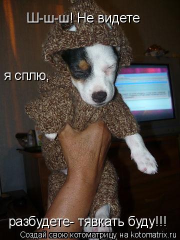 Ш-ш-ш! Не видете я сплю, разбудете- тявкать буду!!!... Котоматрица: Ш-ш-ш! Не видете я сплю, разбудете- тявкать буду!!!