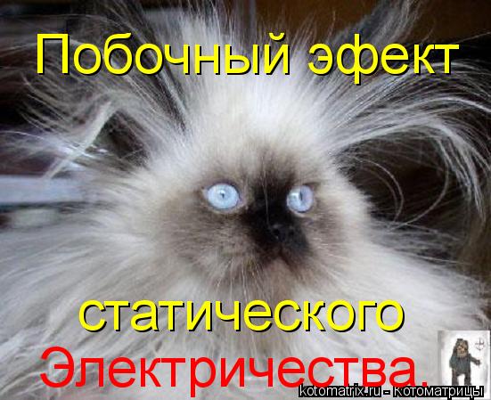 Побочный эфект статического Электричества.... Котоматрица: Побочный эфект статического Электричества.