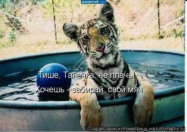 Котоматрица: Тише, Танечка, не плачь!  Хочешь - забирай  свой мяч