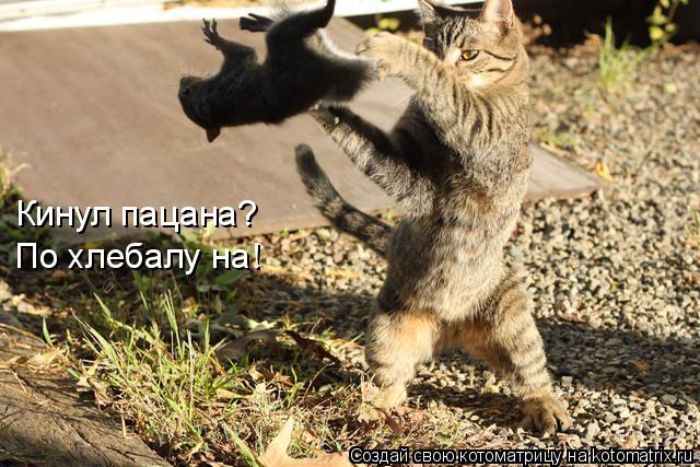 Котоматрица: Кинул пацана? По хлебалу на!