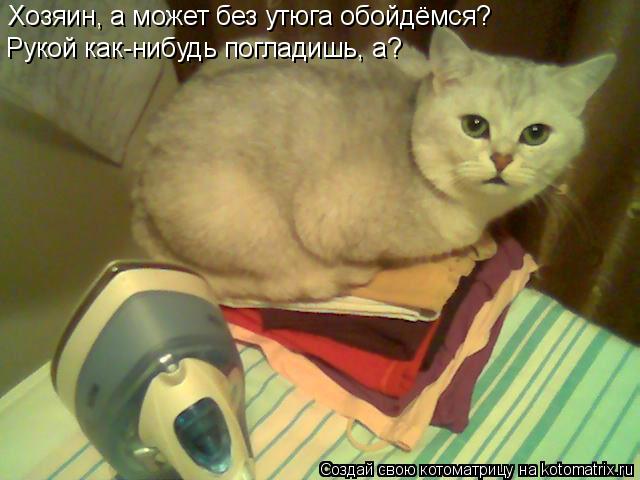 Хозяин, а может без утюга обойдёмся? Рукой как-нибудь погладишь, а?... Котоматрица: Хозяин, а может без утюга обойдёмся? Рукой как-нибудь погладишь, а?
