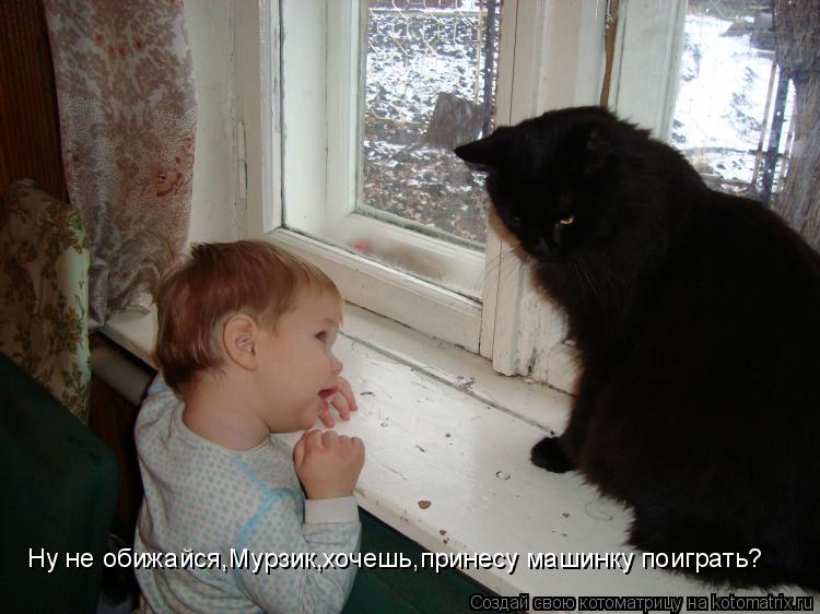 Ну не обижайся,Мурзик,хочешь,принесу машинку поиграть?... Котоматрица: Ну не обижайся,Мурзик,хочешь,принесу машинку поиграть?