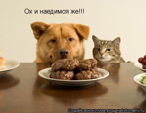 Ох и наедимся же!!!... Котоматрица: Ох и наедимся же!!!