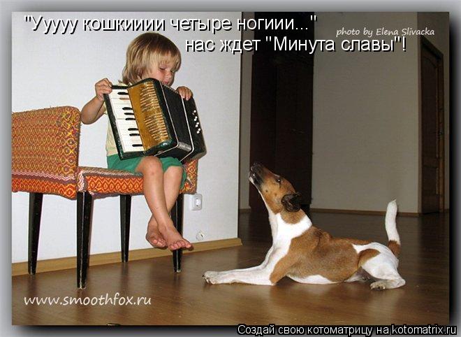 "Ууууу кошкииии четыре ногиии..." нас ждет "Минута славы"!... Котоматрица: "Ууууу кошкииии четыре ногиии..." нас ждет "Минута славы"!