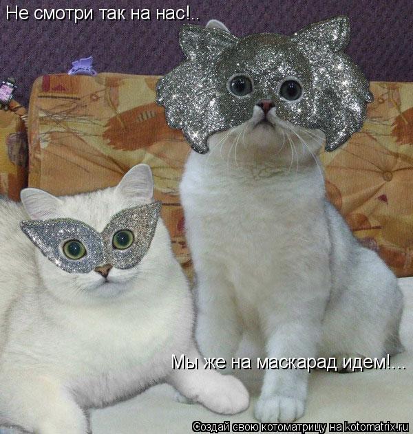Не смотри так на нас!.. Мы же на маскарад идем!...... Котоматрица: Не смотри так на нас!.. Мы же на маскарад идем!...
