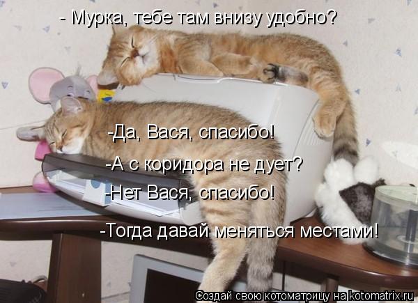 - Мурка, тебе там внизу удобно? -Да, Вася, спасибо! -А с коридора не дует? -Нет Вася, спасибо! ... Котоматрица: - Мурка, тебе там внизу удобно? -Да, Вася, спасибо! -А с коридора не дует? -Нет Вася, спасибо! -Тогда давай меняться местами!