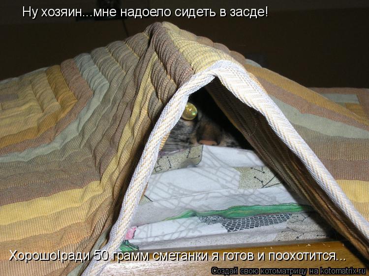 Ну хозяин...мне надоело сидеть в засде! Хорошо!ради 50 грамм сметанки я готов и поохотится...... Котоматрица: Ну хозяин...мне надоело сидеть в засде! Хорошо!ради 50 грамм сметанки я готов и поохотится...