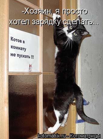 -Хозяин, я просто хотел зарядку сделать...... Котоматрица: -Хозяин, я просто хотел зарядку сделать...