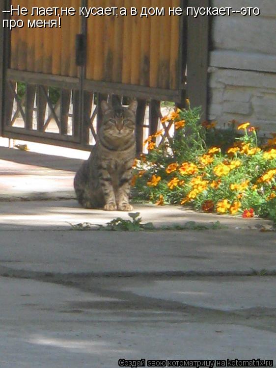 --Не лает,не кусает,а в дом не пускает--это про меня!... Котоматрица: --Не лает,не кусает,а в дом не пускает--это про меня!