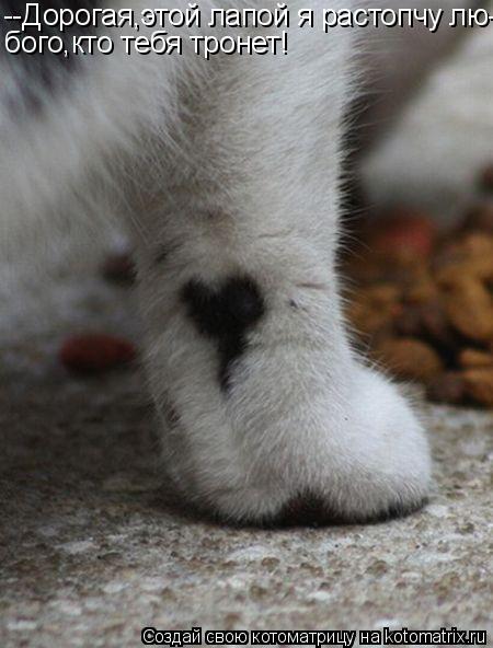 --Дорогая,этой лапой я растопчу лю- бого,кто тебя тронет!... Котоматрица: --Дорогая,этой лапой я растопчу лю- бого,кто тебя тронет!