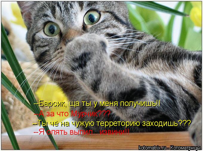 --Барсик, ща ты у меня получишь!! --А за что Мурчик??? --Ты чё на чужую терреторию заходишь??? --Я оп... Котоматрица: --Барсик, ща ты у меня получишь!! --А за что Мурчик??? --Ты чё на чужую терреторию заходишь??? --Я опять выпил...извини!!