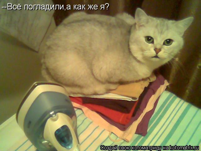 --Всё погладили,а как же я?... Котоматрица: --Всё погладили,а как же я?