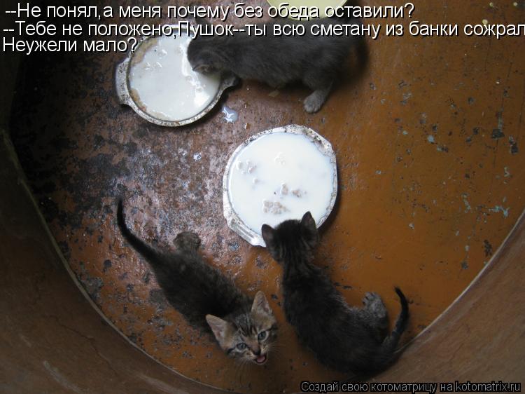 --Не понял,а меня почему без обеда оставили? --Тебе не положено,Пушок--ты всю сметану из банки сожрал... Котоматрица: --Не понял,а меня почему без обеда оставили? --Тебе не положено,Пушок--ты всю сметану из банки сожрал. Неужели мало?