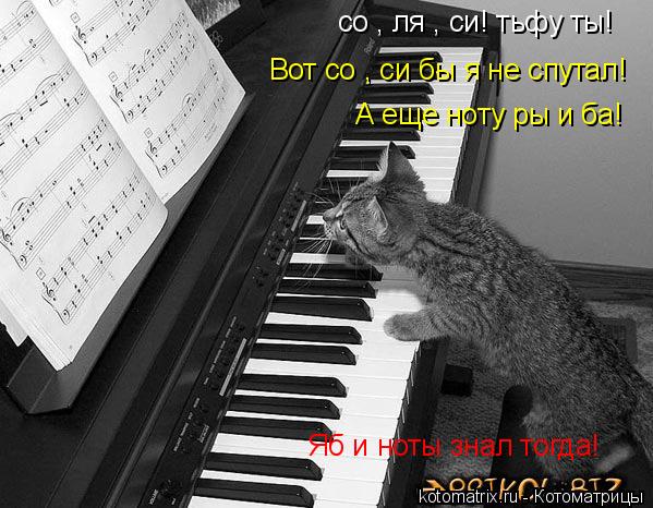 со , ля , си! тьфу ты! Вот со , си бы я не спутал! А еще ноту ры и ба! Яб и ноты знал тогда!... Котоматрица: со , ля , си! тьфу ты! Вот со , си бы я не спутал! А еще ноту ры и ба! Яб и ноты знал тогда!
