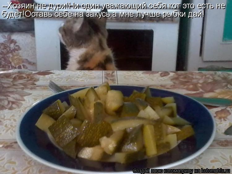 --Хозяин,не дури!Ни один уважающий себя кот это есть не будет!Оставь себе на закусь,а мне лучше рыбки... Котоматрица: --Хозяин,не дури!Ни один уважающий себя кот это есть не будет!Оставь себе на закусь,а мне лучше рыбки дай!