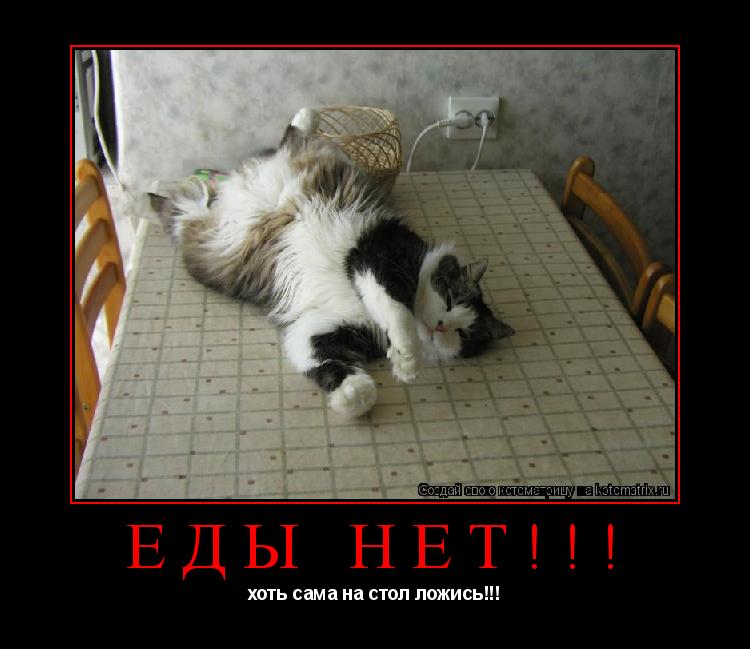 Еды нет!!! хоть сама на стол ложись!!!... Котоматрица: Еды нет!!! хоть сама на стол ложись!!!