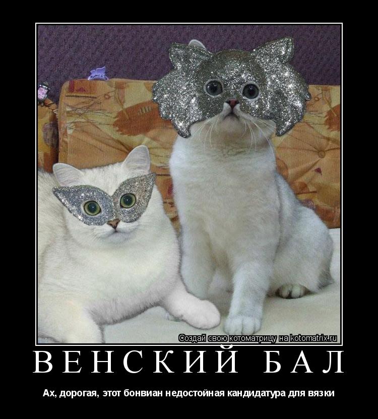 Венский бал Ах, дорогая, этот бонвиан недостойная кандидатура для вязки... Котоматрица: Венский бал Ах, дорогая, этот бонвиан недостойная кандидатура для вязки