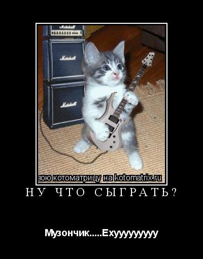 Ну что сыграть? Музончик.....Ехууууууууу... Котоматрица: Ну что сыграть? Музончик.....Ехууууууууу