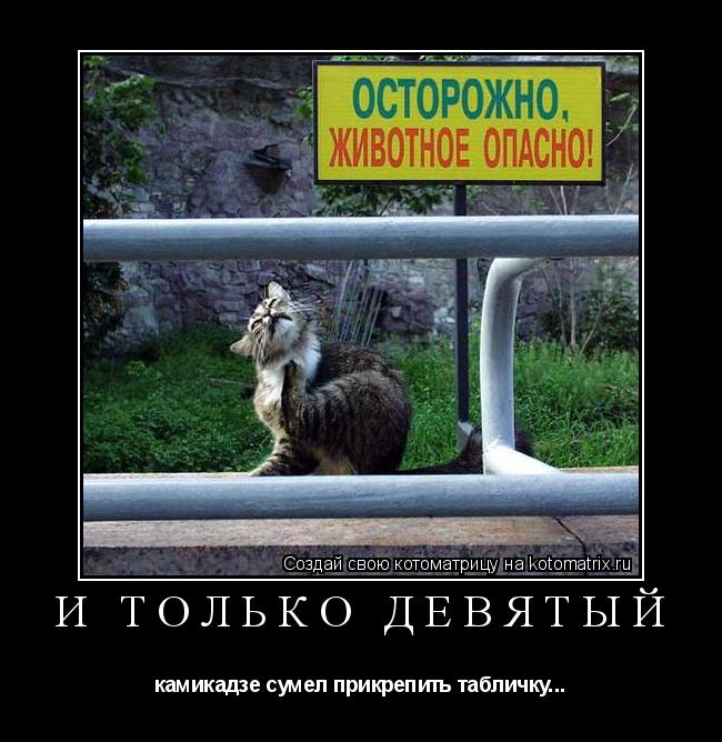 И только девятый камикадзе сумел прикрепить табличку...... Котоматрица: И только девятый камикадзе сумел прикрепить табличку...