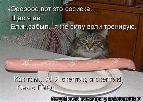 -Ооооооо,вот это сосиска.... Щас я её... Блин,забыл...я же силу воли тренирую. Как там... А! Я скепти... Котоматрица: -Ооооооо,вот это сосиска.... Щас я её... Блин,забыл...я же силу воли тренирую. Как там... А! Я скептик, я скептик! Она с ГМО...