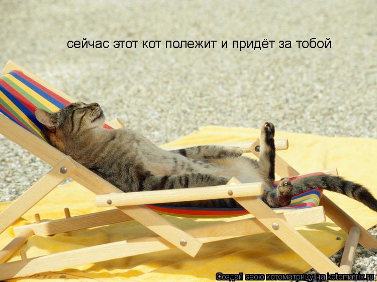 сейчас этот кот полежит и придёт за тобой... Котоматрица: сейчас этот кот полежит и придёт за тобой