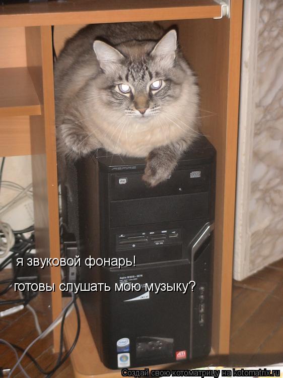 я звуковой фонарь! готовы слушать мою музыку?... Котоматрица: я звуковой фонарь! готовы слушать мою музыку?
