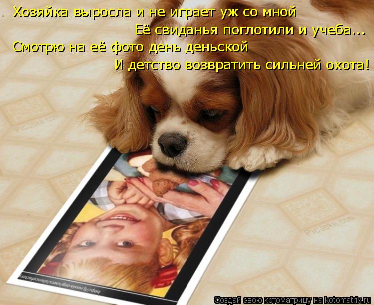 Хозяйка выросла и не играет уж со мной Её свиданья поглотили и учеба... Смотрю на её фото день деньск... Котоматрица: Хозяйка выросла и не играет уж со мной Её свиданья поглотили и учеба... Смотрю на её фото день деньской И детство возвратить сильней охота!