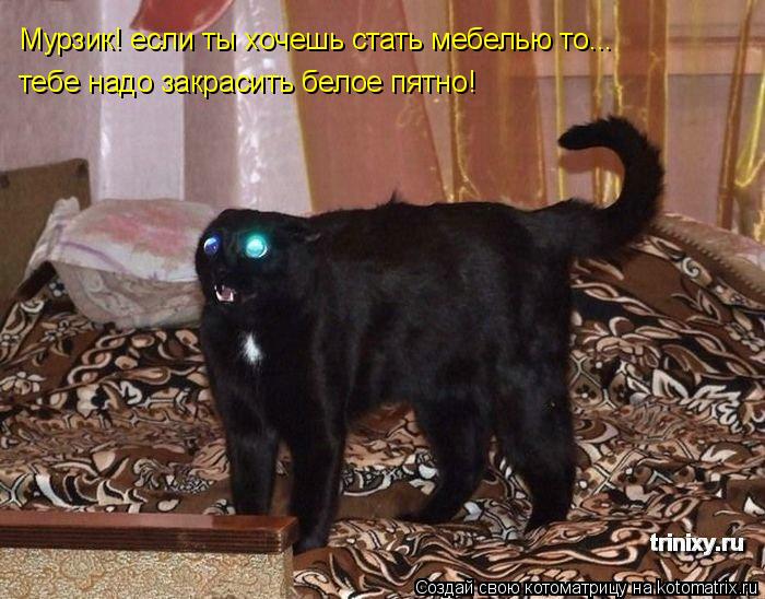Мурзик! если ты хочешь стать мебелью то... тебе надо закрасить белое пятно!... Котоматрица: Мурзик! если ты хочешь стать мебелью то... тебе надо закрасить белое пятно!