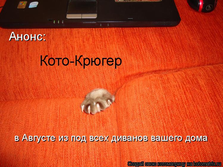 Анонс: Кото-Крюгер в Августе из под всех диванов вашего дома... Котоматрица: Анонс: Кото-Крюгер в Августе из под всех диванов вашего дома