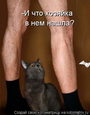 -И что хозяйка в нем нашла?... Котоматрица: -И что хозяйка в нем нашла?