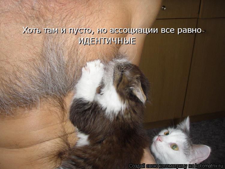Хоть там и пусто, но ассоциации все равно ИДЕНТИЧНЫЕ... Котоматрица: Хоть там и пусто, но ассоциации все равно ИДЕНТИЧНЫЕ