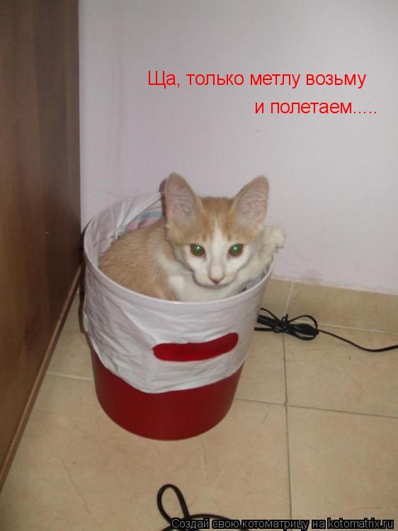 Ща, только метлу возьму и полетаем........ Котоматрица: Ща, только метлу возьму и полетаем.....