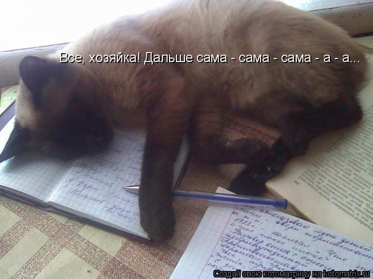 Все, хозяйка! Дальше сама - сама - сама - а - а...... Котоматрица: Все, хозяйка! Дальше сама - сама - сама - а - а...