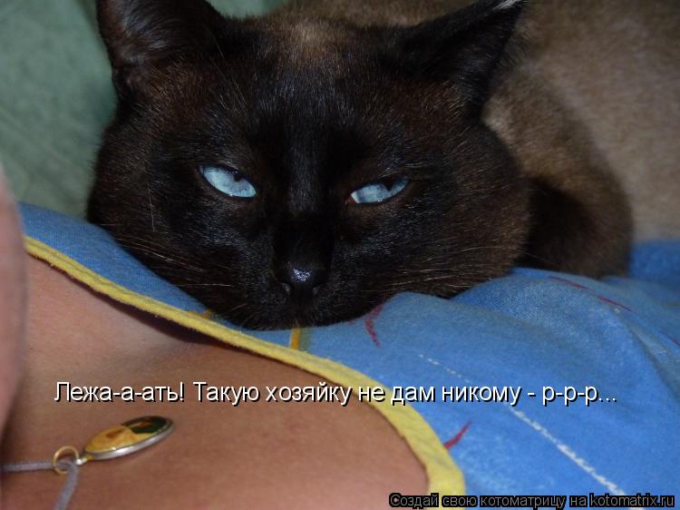 Лежа-а-ать! Такую хозяйку не дам никому - р-р-р...... Котоматрица: Лежа-а-ать! Такую хозяйку не дам никому - р-р-р...
