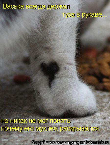 Васька всегда держал туза в рукаве... но никак не мог понять почему его мухлеж раскрывался... Котоматрица: Васька всегда держал туза в рукаве... но никак не мог понять почему его мухлеж раскрывался