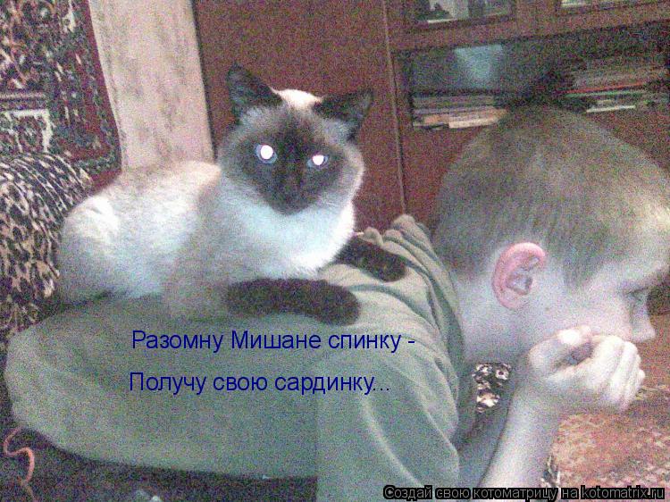 Разомну Мишане спинку - Получу свою сардинку...... Котоматрица: Разомну Мишане спинку - Получу свою сардинку...