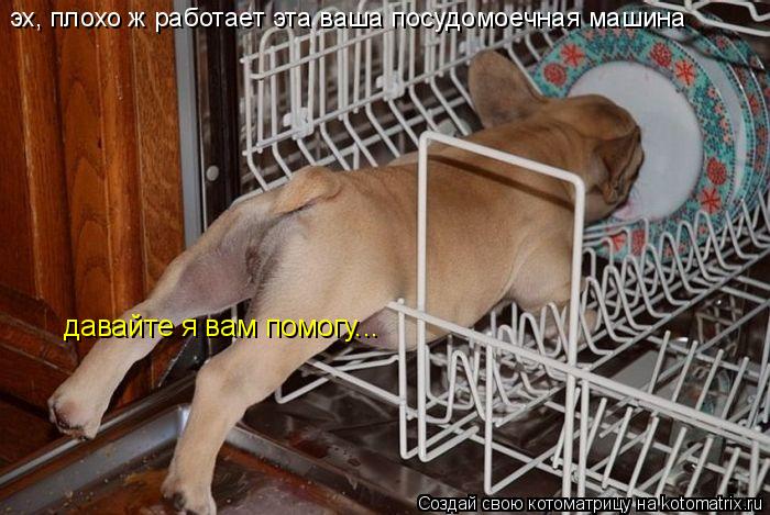 эх, плохо ж работает эта ваша посудомоечная машина давайте я вам помогу...... Котоматрица: эх, плохо ж работает эта ваша посудомоечная машина давайте я вам помогу...