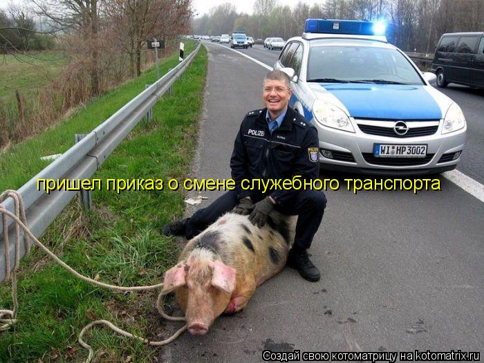 пришел приказ о смене служебного транспорта... Котоматрица: пришел приказ о смене служебного транспорта