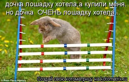 дочка лошадку хотела,а купили меня. но дочка ОЧЕНЬ лошадку хотела...... Котоматрица: дочка лошадку хотела,а купили меня. но дочка ОЧЕНЬ лошадку хотела...