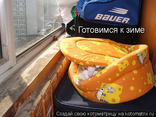 Готовимся к зиме... Котоматрица: Готовимся к зиме