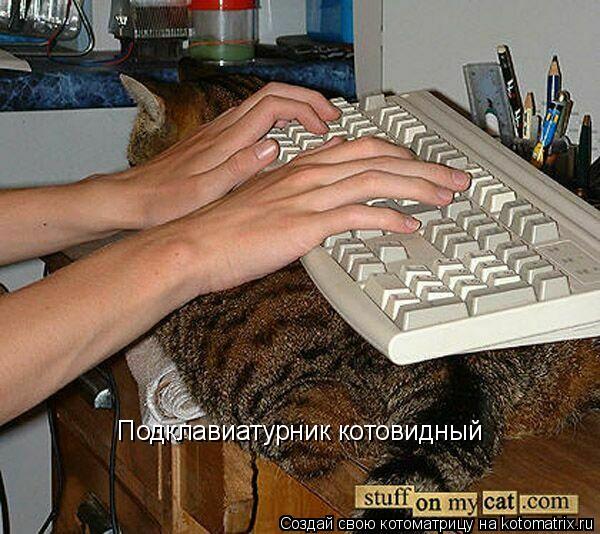 Подклавиатурник котовидный... Котоматрица: Подклавиатурник котовидный