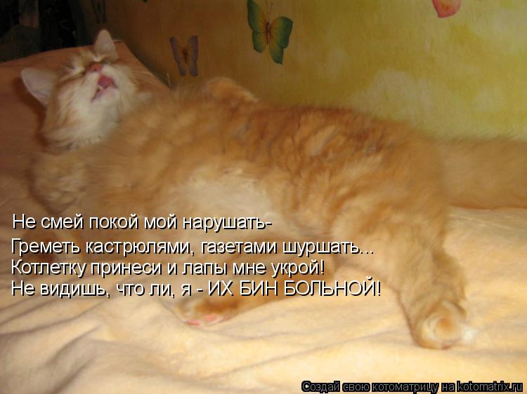 Не смей покой мой нарушать- Греметь кастрюлями, газетами шуршать... Котлетку принеси и лапы мне укрой... Котоматрица: Не смей покой мой нарушать- Греметь кастрюлями, газетами шуршать... Котлетку принеси и лапы мне укрой! Не видишь, что ли, я - ИХ БИН БОЛЬНОЙ! Не