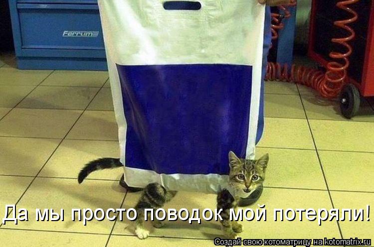 Да мы просто поводок мой потеряли!... Котоматрица: Да мы просто поводок мой потеряли!