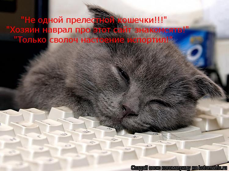 "Не одной прелестной кошечки!!!" "Хозяин наврал про этот сайт знакомсятв!" "Только сволоч настоение и... Котоматрица: "Не одной прелестной кошечки!!!" "Хозяин наврал про этот сайт знакомсятв!" "Только сволоч настоение испортил!"