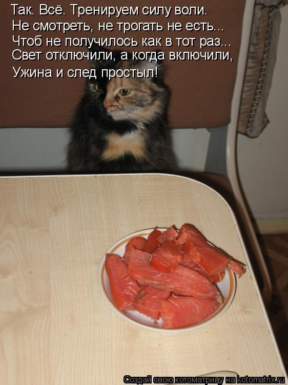 Котоматрица: Так. Всё. Тренируем силу воли. Не смотреть, не трогать не есть... Чтоб не получилось как в тот раз... Свет отключили, а когда включили, Ужина и сл