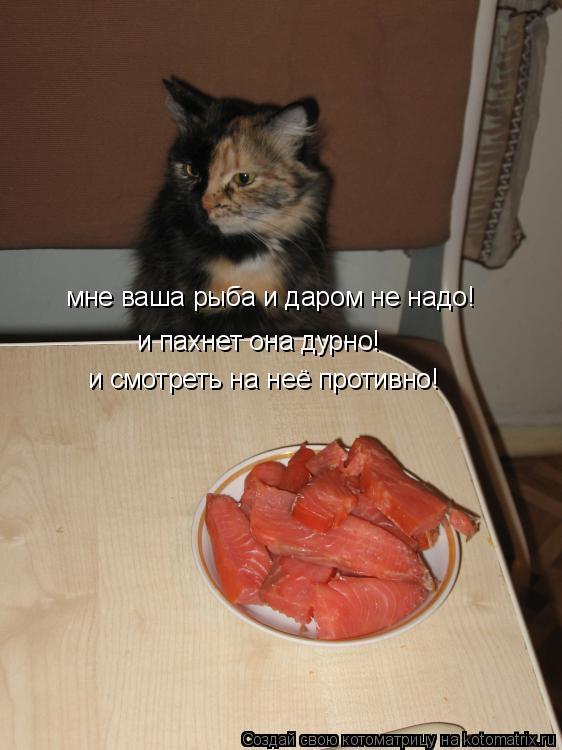 Котоматрица: мне ваша рыба и даром не надо! и пахнет она дурно! и смотреть на неё противно!