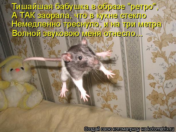 Тишайшая бабушка в образе "ретро", А ТАК заорала, что в кухне стекло Немедленно треснуло, и на три ме... Котоматрица: Тишайшая бабушка в образе "ретро", А ТАК заорала, что в кухне стекло Немедленно треснуло, и на три метра Волной звуковою меня отнесло...